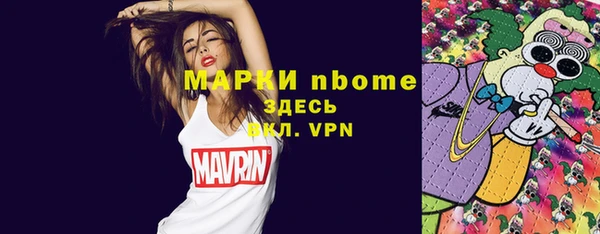 сатива Новокубанск