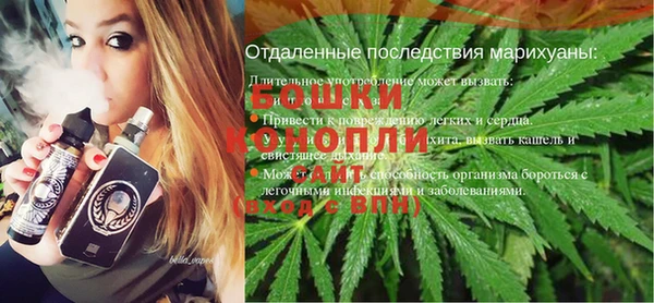 сатива Новокубанск