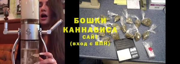 твердый Няндома