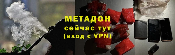 сатива Новокубанск