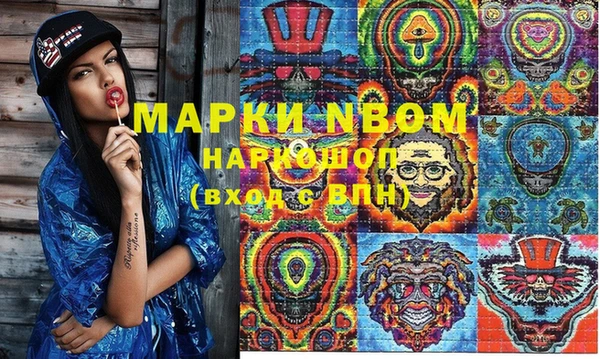 прущие грибы Нягань