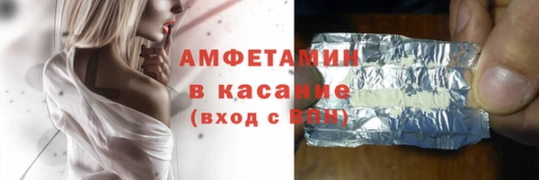 сатива Новокубанск