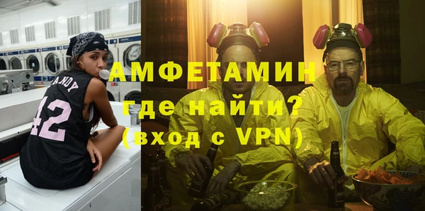сатива Новокубанск