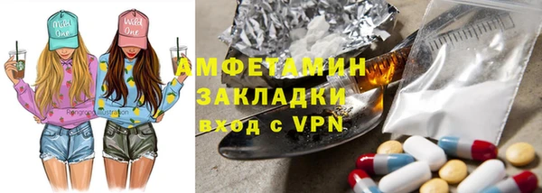 твердый Няндома