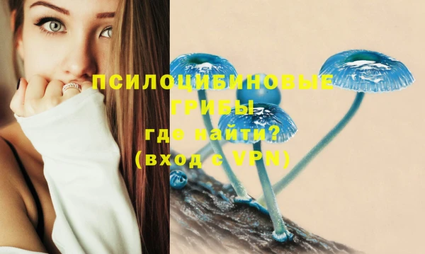 гашиш Новодвинск