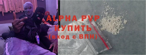 сатива Новокубанск