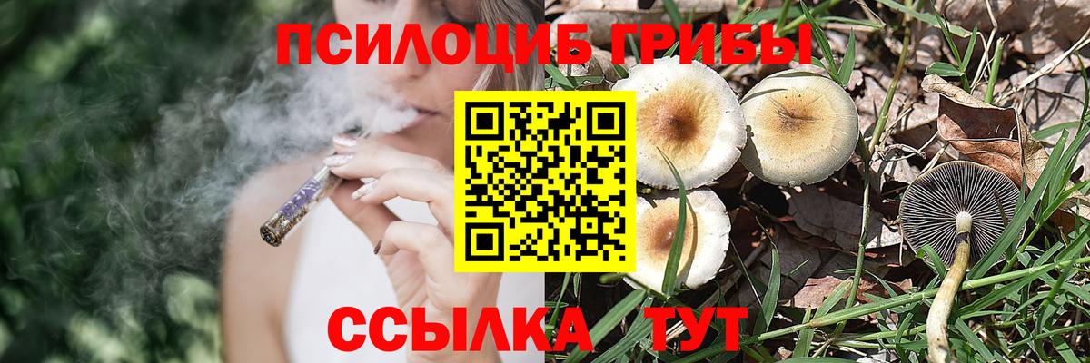 Павлово  Галлюциногенные грибы мицелий  Псилоцибиновые грибы мицелий  Вход с VPN 