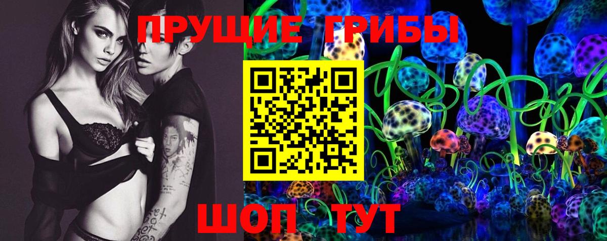 продажа наркотиков  Павлово  Галлюциногенные грибы GOLDEN TEACHER 