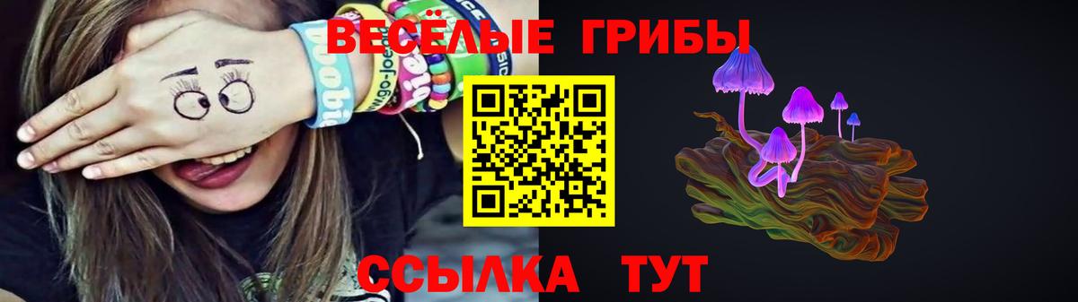 Псилоцибиновые грибы мицелий Павлово
