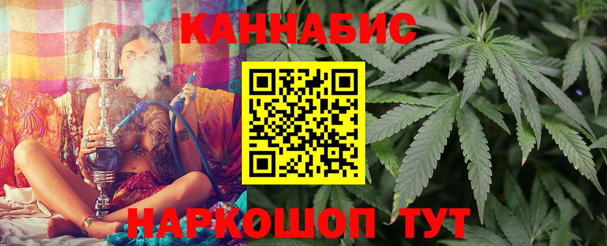 Каннабис планчик Павлово